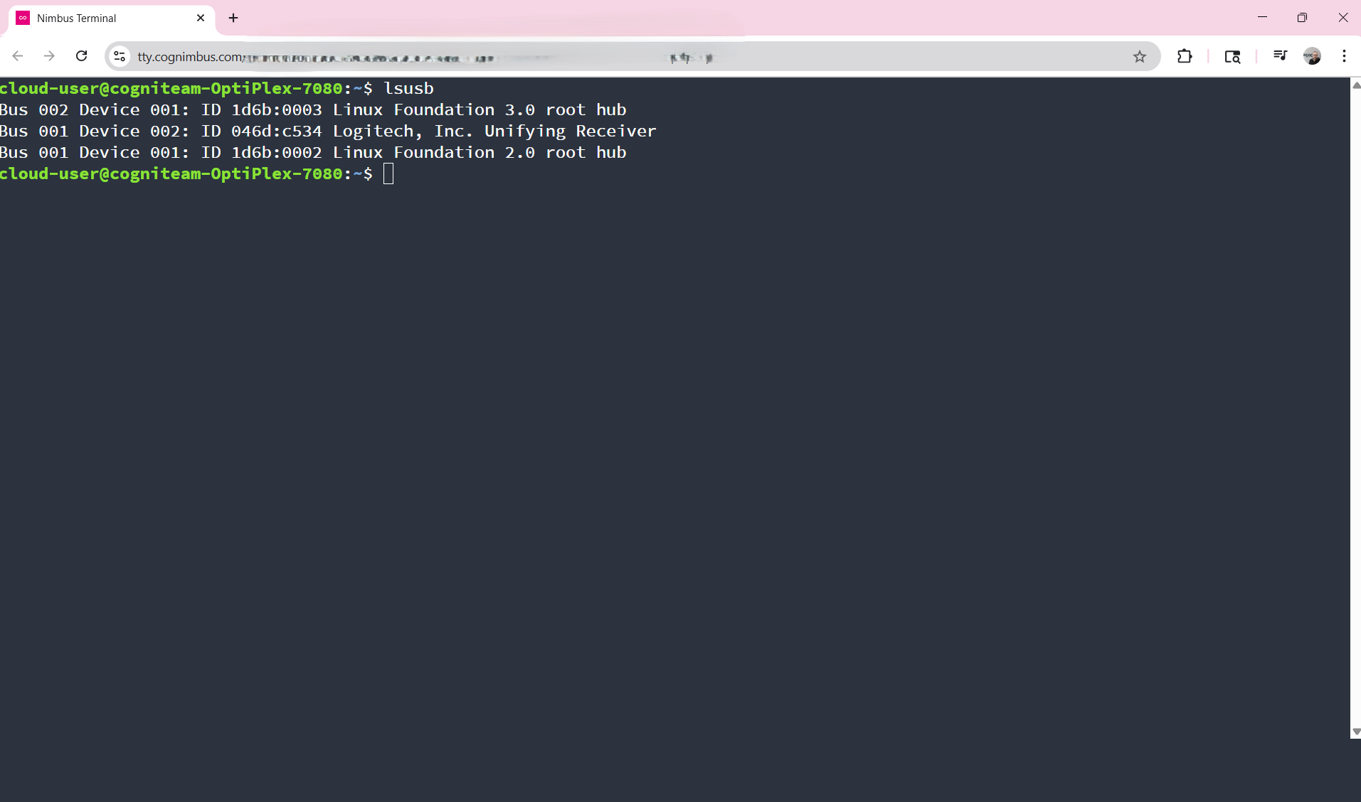 Remote Terminal Interface